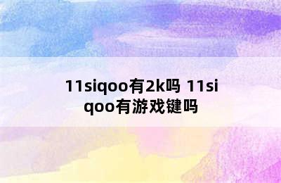 11siqoo有2k吗 11siqoo有游戏键吗